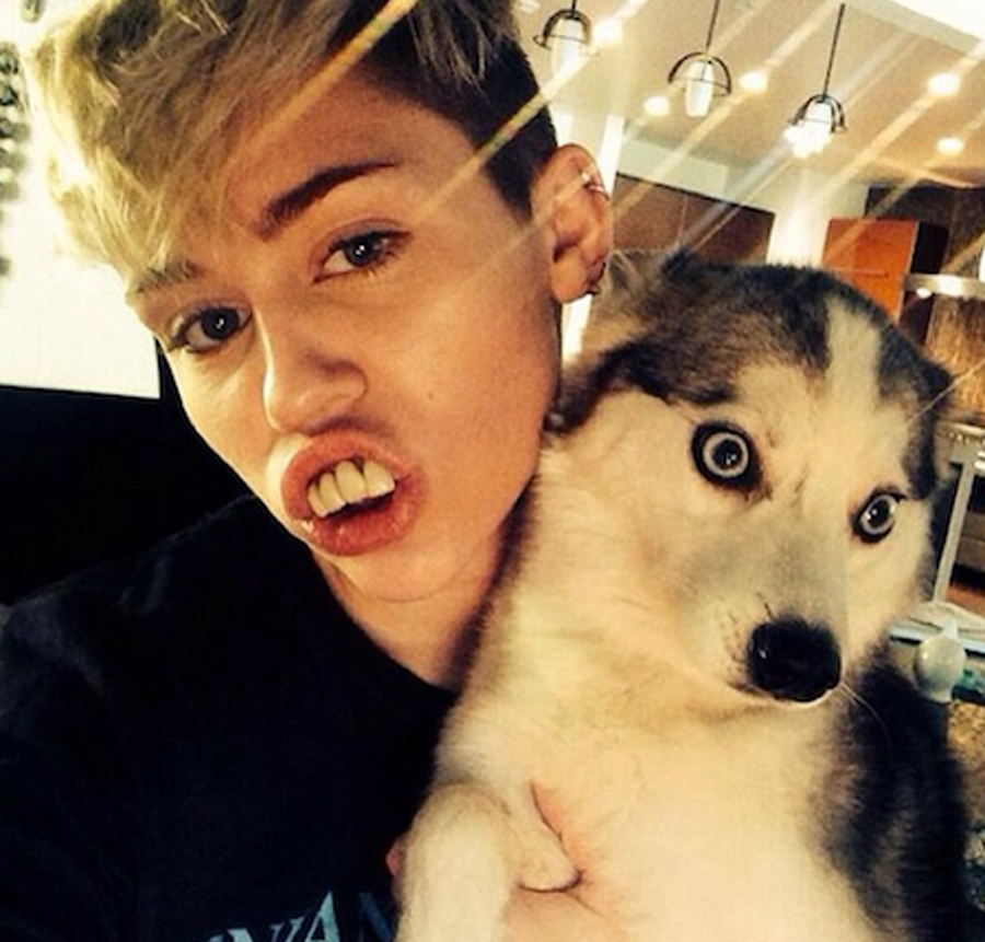 miley-cyrus-selfie